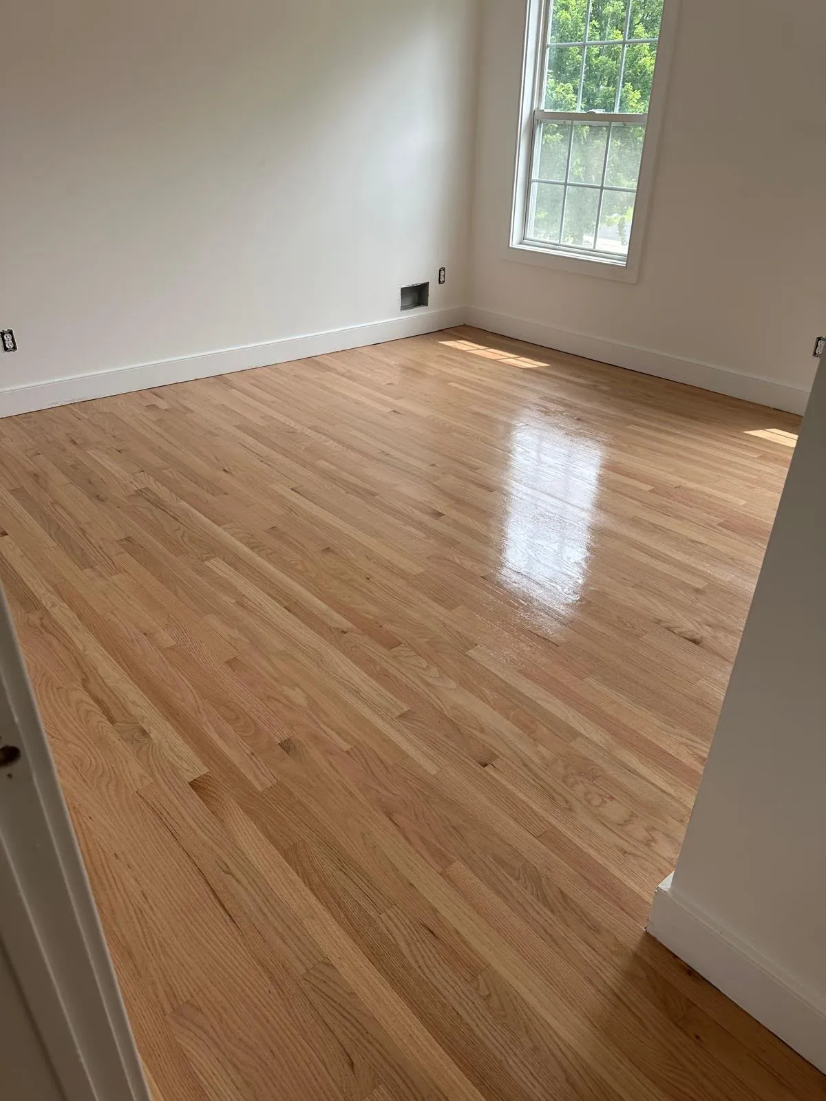 Honey-toned oak floor meeting a white baseboard in the corner of a bright room