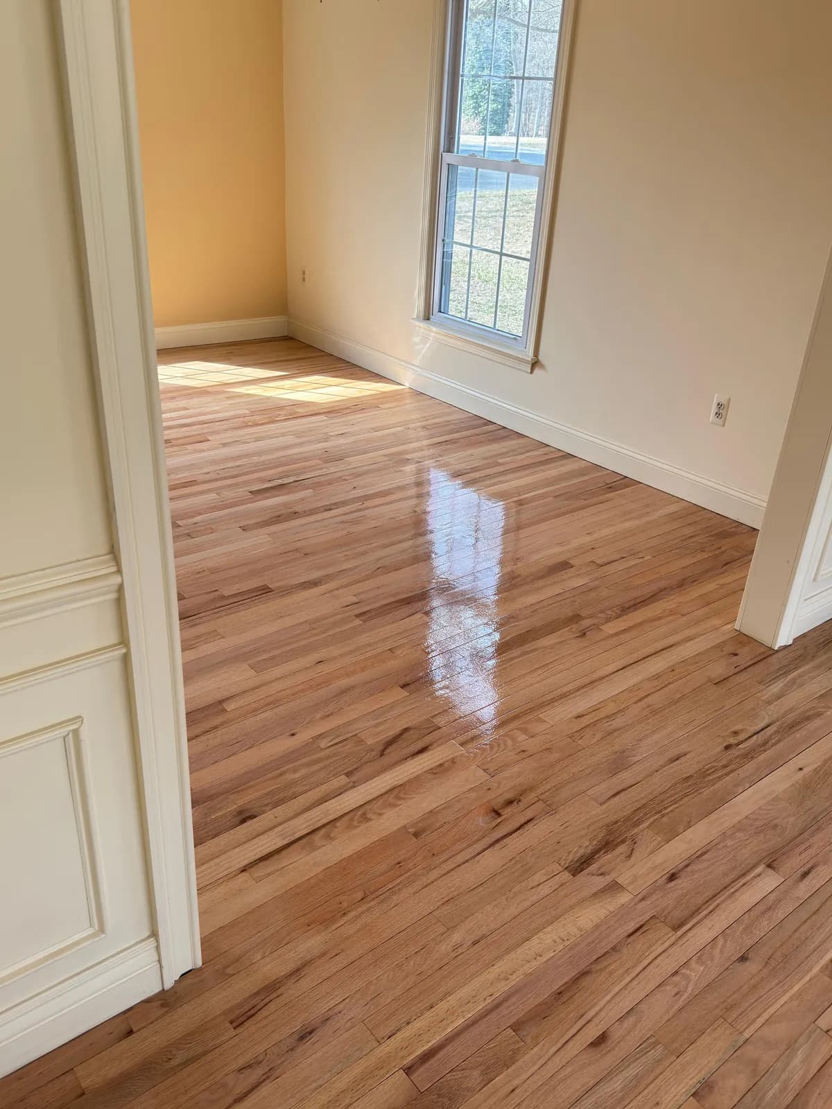 Golden oak floor beside a wainscot-paneled wall and a tall window