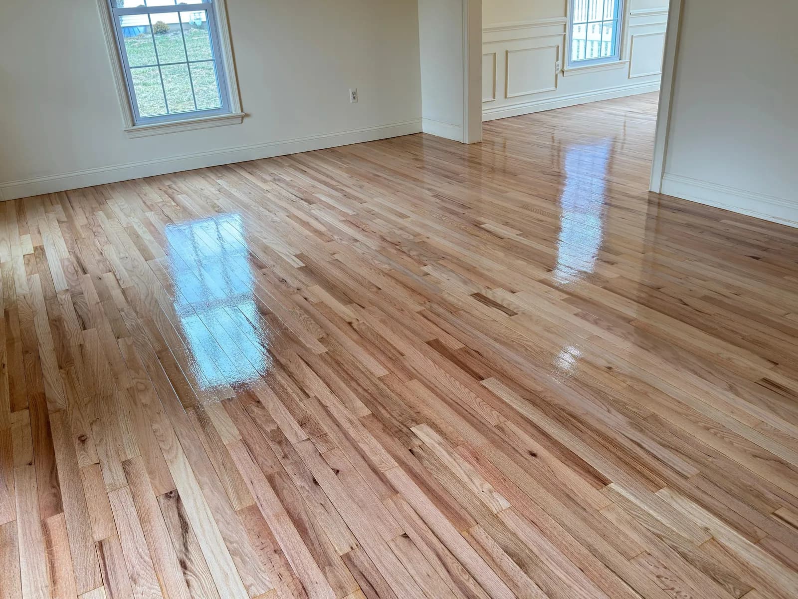 Oak floor in a room with chair-rail paneling and two windows