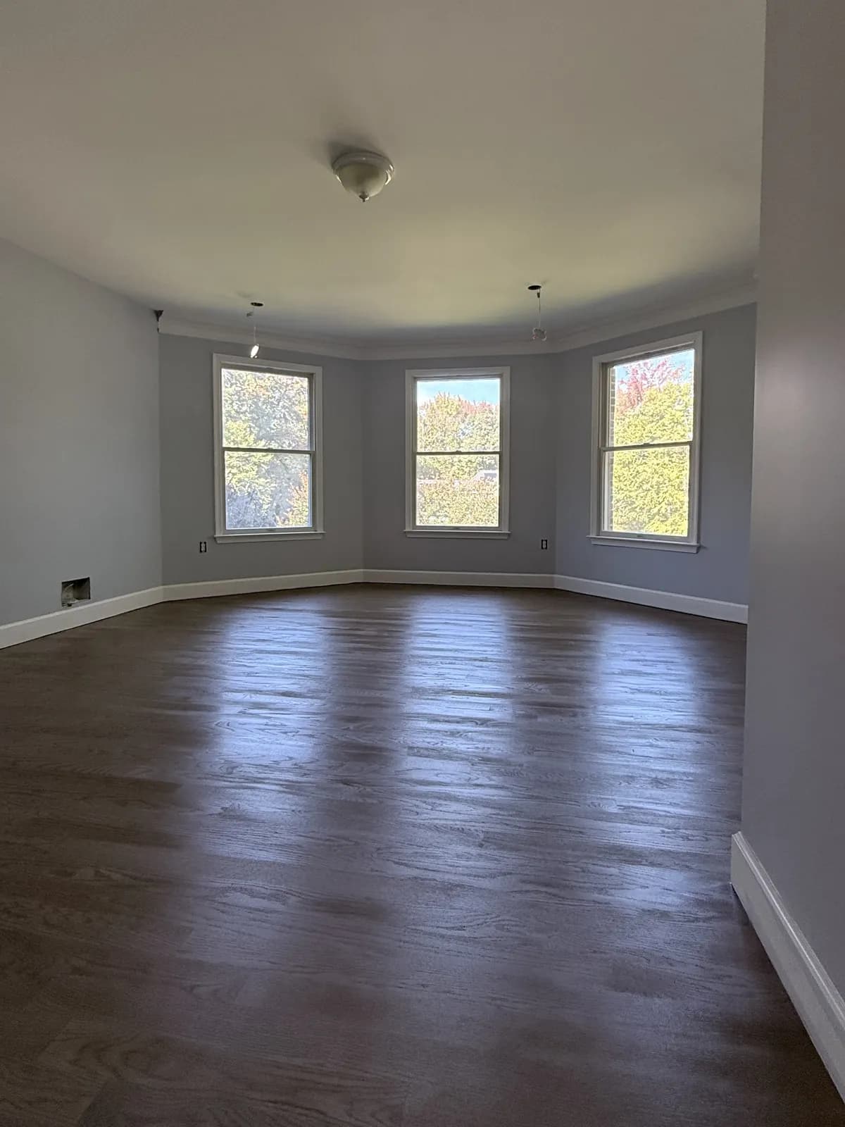 Dark-stained oak floor in an empty room with a three-window bay